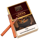 Gudang Garam